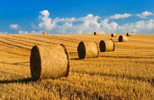 Le Clos Saint Vincent Manneville-ès-Plains エクステリア 写真