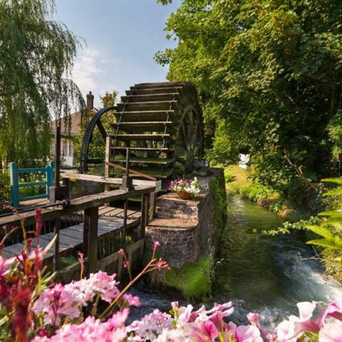Le Clos Saint Vincent Manneville-ès-Plains エクステリア 写真